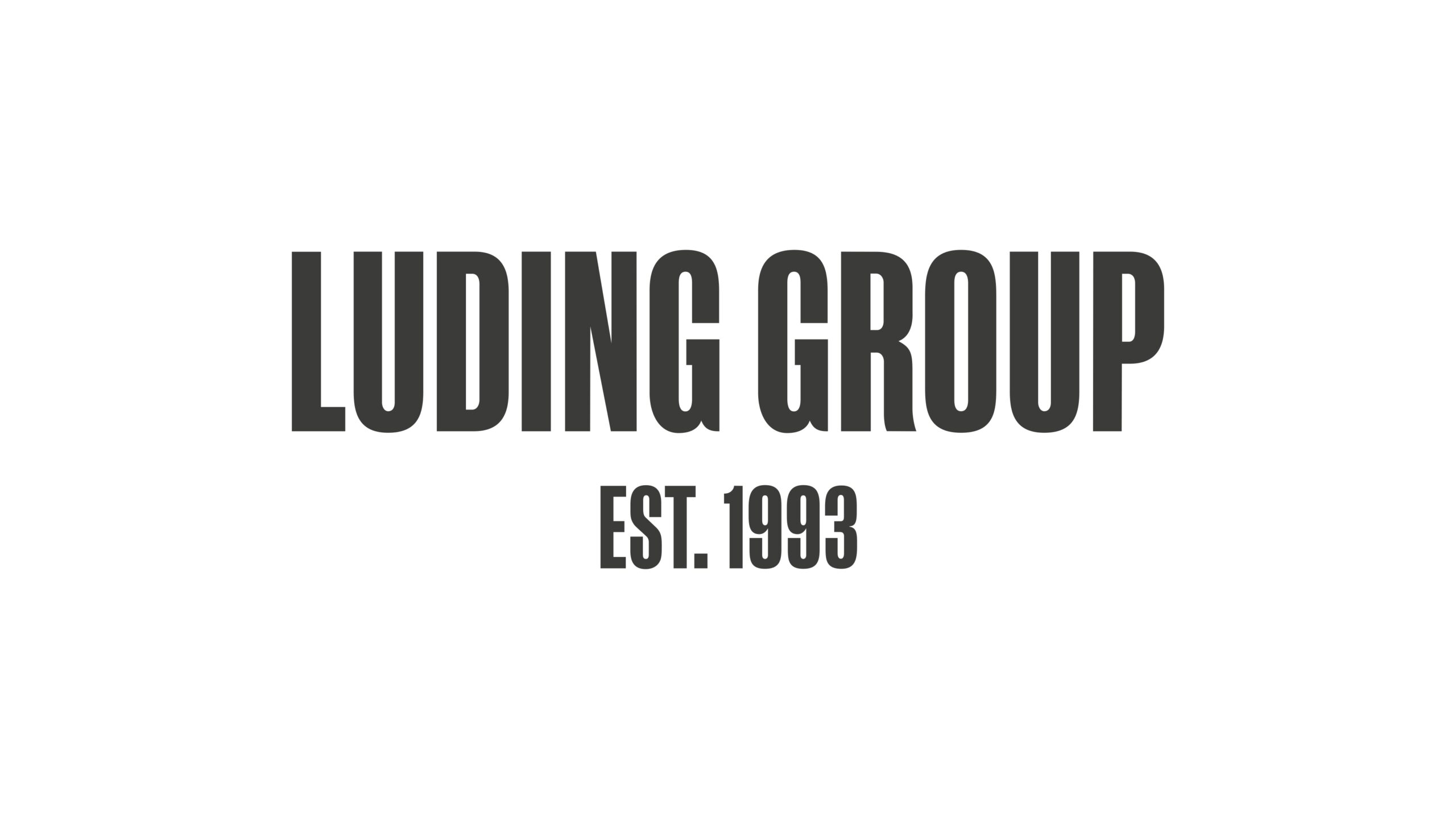 Luding group. Luding логотип. Luding.